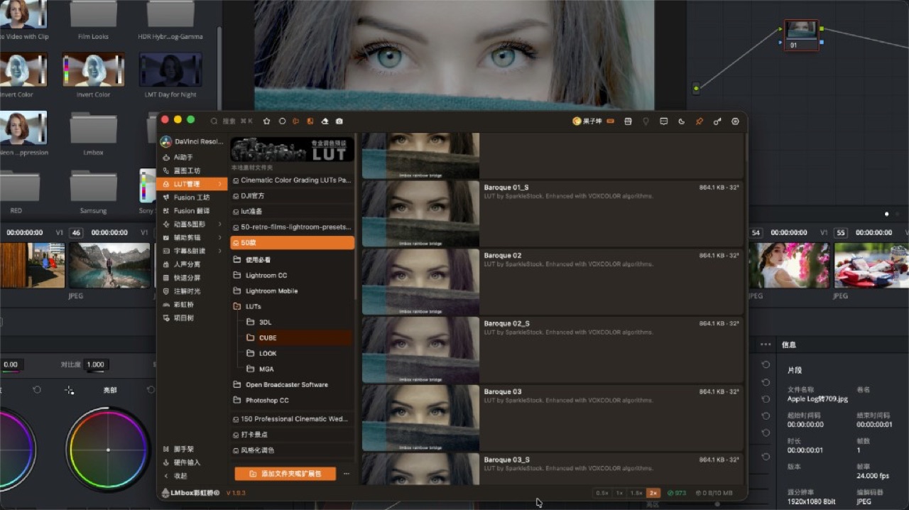 LUT 管理是什么
