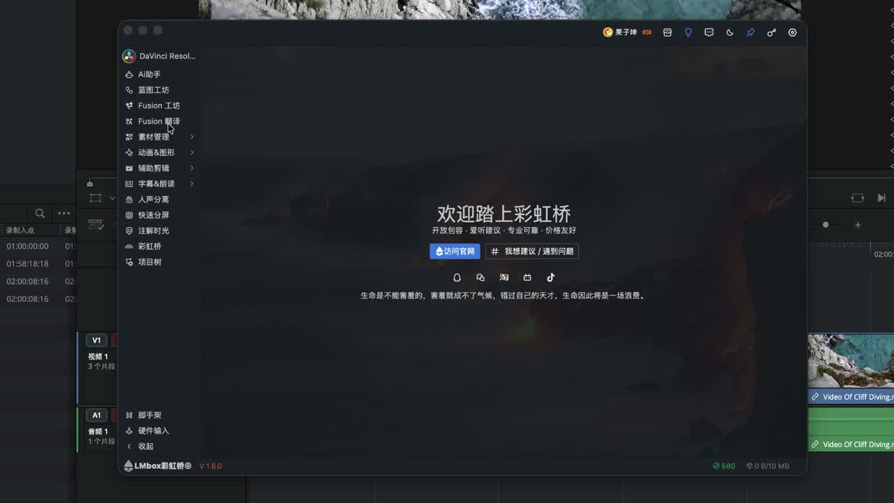 名称翻译（原 Fusion 翻译）界面